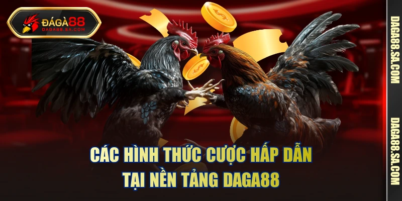 Các hình thức cược hấp dẫn tại nền tảng daga88