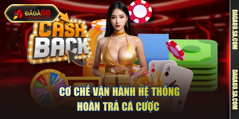 Cơ chế vận hành hệ thống hoàn trả cá cược 