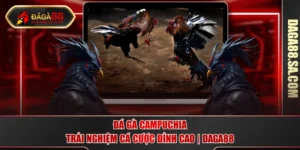 Đá gà Campuchia