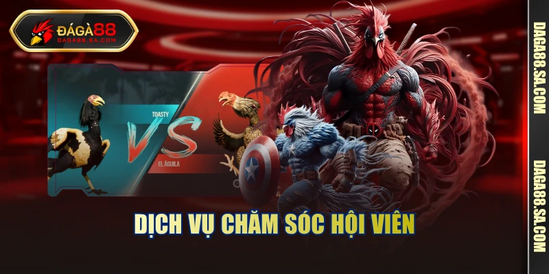 Dịch vụ chăm sóc hội viên