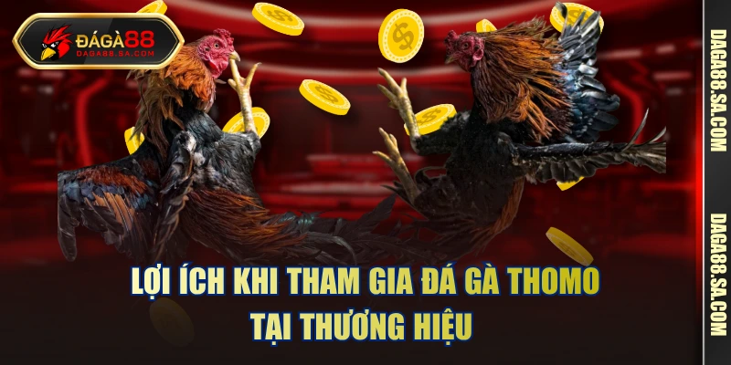 Lợi ích khi tham gia đá gà Thomo tại thương hiệu 