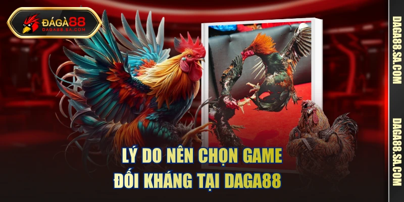 Lý do nên chọn game đối kháng tại daga88  